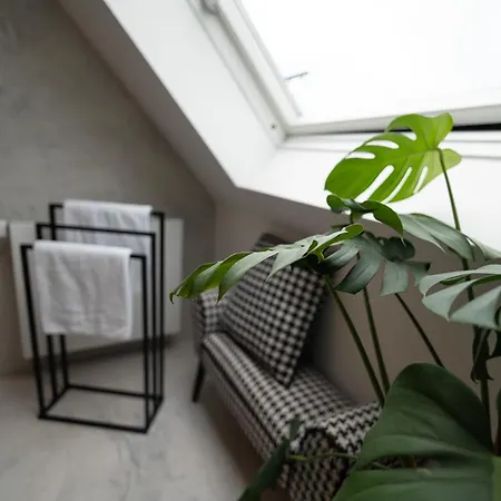 Penthouse Mit Panoramaterrasse Und Whirlpool Апартаменты Кобленц